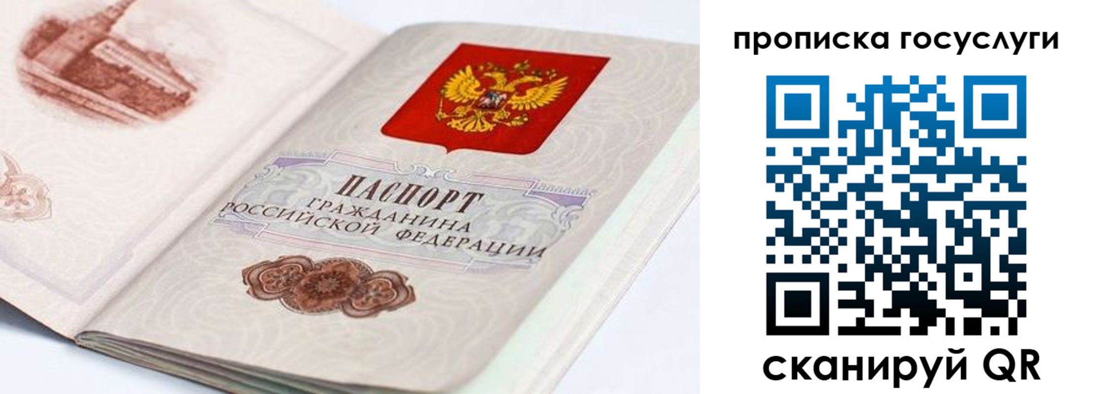 прописка регистрация в Рязанской области